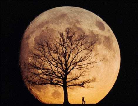 moonrise